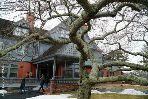 Historic Sagamore Hill Home Framed by Lichen-Covered Winter Tree