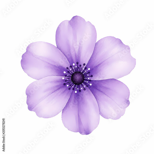 Purple flower with petals and details showing natural beauty in a simple design