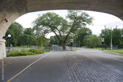 Tableau sur toile trees, trees nearby  the bridge, nature, path, road, street, concrete  road, cement road , lane, laneway, highway, city road