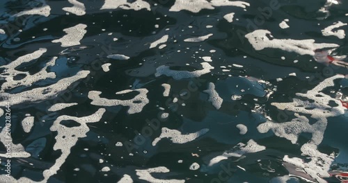 Close-up of sea foam floating on dark water surface at harbor in Rovinj, Istria, Croatia.