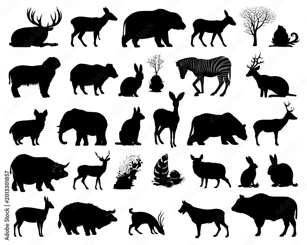 Fototapeta premium A collection of wildlife animal silhouettes in a black and white illustration showing an assortment of mammals in diverse poses and forms.