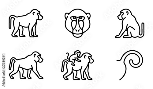 Photography Baboon Icons Set, Vector Line Art Collection of Primate Animals, Simple Mammal G
