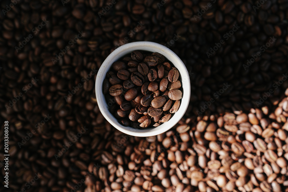 Fototapeta premium Horizontal Wide Shot Coffee Beans in White Cup with Dramatic Sunlight and Shadow
