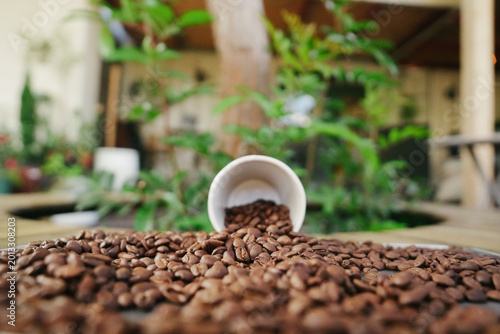 Cinematic Action Shot of Roasted Coffee Beans Falling and Bouncing with Espresso Cup