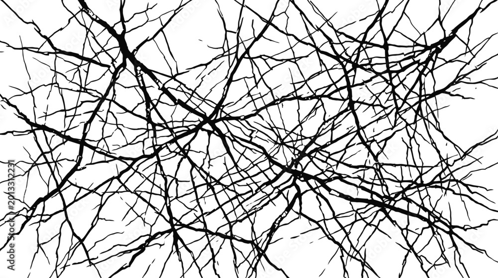 Obraz premium Black tangled ink lines on white background.