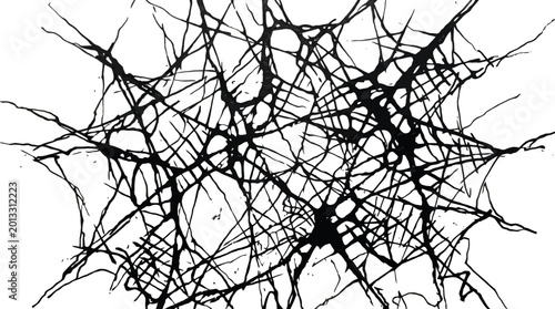 Cuadro en lienzo Black ink splatter web on white background with tangled expressive lines