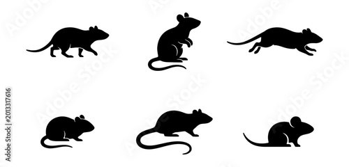 Bild auf Leinwand Rodent Silhouettes Collection: Mouse, Rat, Pest Icons, Animal Vector Graphics