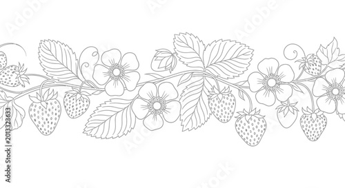 Schilderij op canvas Hand-drawn strawberry border, flowers, leaves and fruits, outline illustration