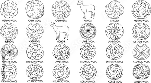Cuadro en lienzo Diagram of Wool and Animal Fiber Textures: A Comprehensive Visual Guide with Lab