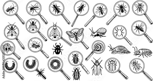 Tableau sur toile Insect Observation: An Array of Bugs Under Magnifying Glasses in Hand-Drawn Styl