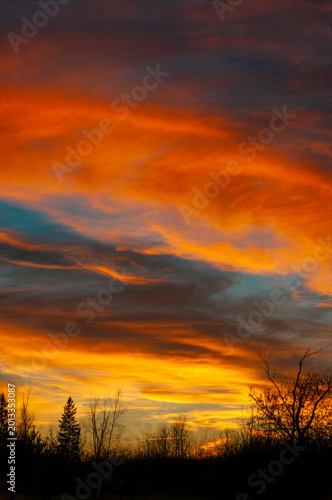 The sky is ablaze with vibrant hues of orange and red as the sun sets behind a silhouetted row of winter trees. The interplay of colors creates a dramatic and mesmerizing scene.