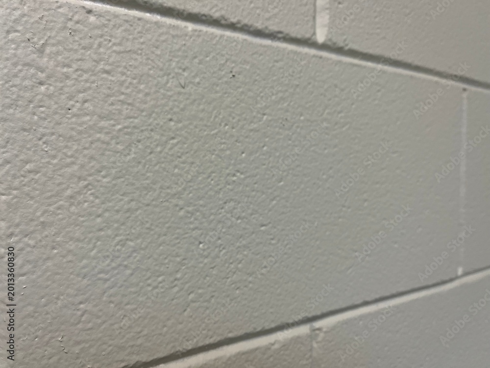 Fototapeta premium White Painted Cinder Block Wall with Perspective