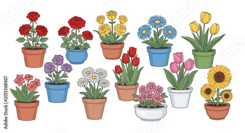 Potted Flowers Collection Vector Illustration on White Background