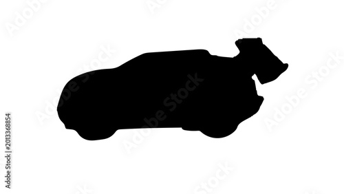 Race Cars
