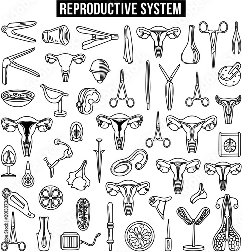 Foto Reproductive System Outline Icons: Gynecological Instruments  Female Anatomy Col