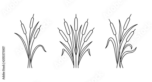 Tableau sur toile Minimalist cattail line art vector logo set with simple botanical reed icon desi