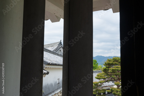 Kochi Castle, a famous landmark