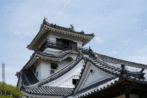 Kochi Castle, a famous landmark