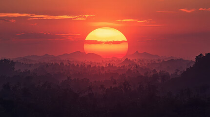 Tropical sunset forest sunrise orange sky dramatic light warm horizon
