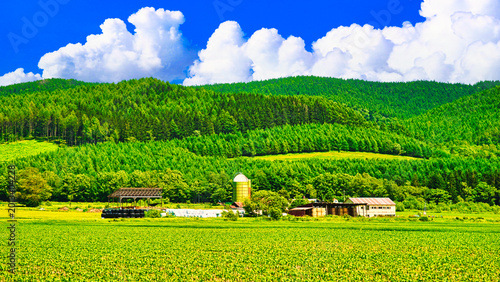  帯広近郊の美しい牧場風景
