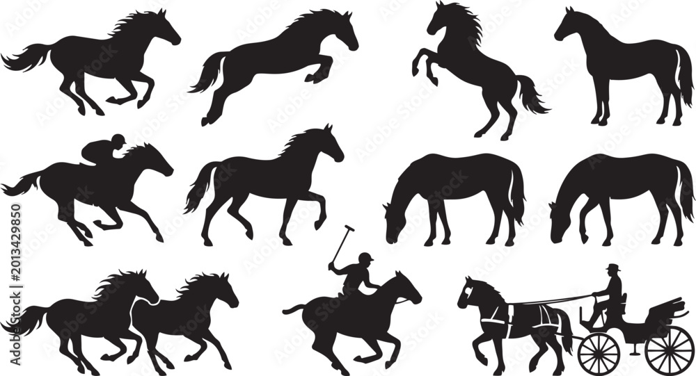 Fototapeta premium Horse silhouette bundle, equestrian poses, running, jumping, rearing, grazing, jockey racing, polo player, carriage driving, animal illustration, equestrian sports design
