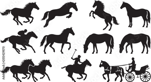 Foto Horse silhouette bundle, equestrian poses, running, rearing, grazing, jockey rac