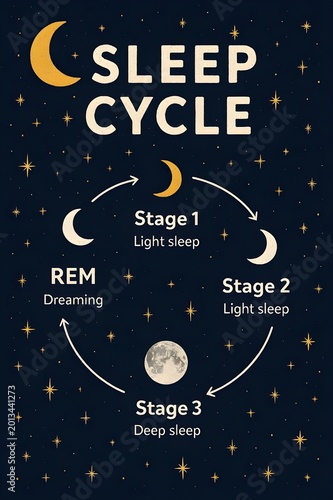 Sleep Cycle Stages Infographic with Moon and Stars Illustrations, Deep Sleep and REM Stage Explanation for Health and Circadian Rhythm