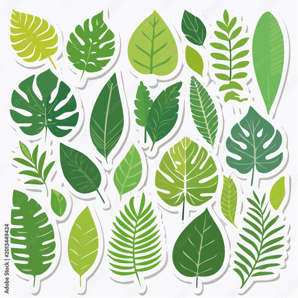 Fototapeta premium Collection of Green Tropical Leaves Stickers