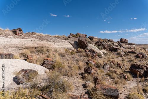Canvas Print Petrified Forest National Park in Arizona