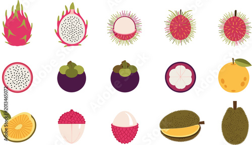 Konstfotografi Exotic tropical fruit icon set with dragon fruit mangosteen rambutan lychee duri