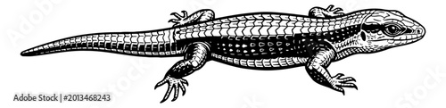 Detailed Black and White Engraving of a Lizard Reptile Animal Side View Wildlife Illustration