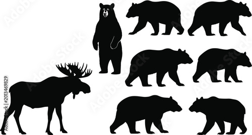 Photography Bear and moose animal silhouettes set with wildlife shapes isolated black vector