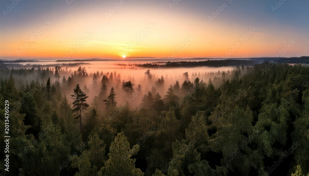Obraz premium Aerial View of Foggy Forest at Sunrise - A Serene Landscape.