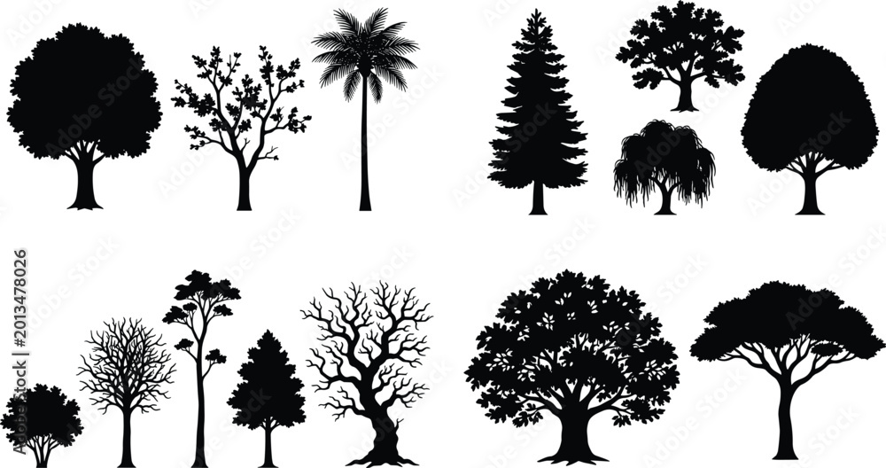 Fototapeta premium Collection of Tropical and Forest Tree Silhouettes Isolated on Gray Background for Nature and Landscape Design