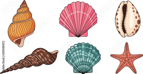 Tableau sur toile Colorful seashell and starfish set with conch scallop and cowrie marine elements