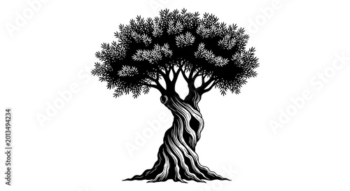 Картината върху платно Tree with thick twisted roots growing.