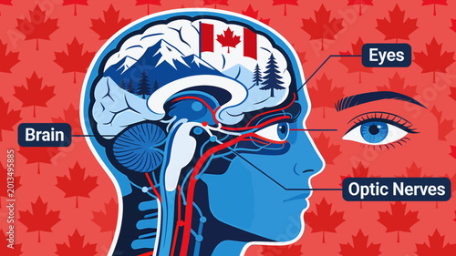 Canvastavla Anatomical illustration of the human brain and eye, featuring Canadian imagery within the brain