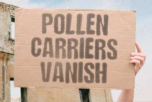 Foto "Pollen Carriers Vanish" Wild bee species responsible for crop pollen transfer disappear rapidly