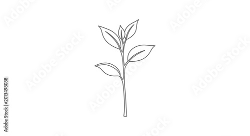 Simple line drawing of a plant with leaves on a white background.