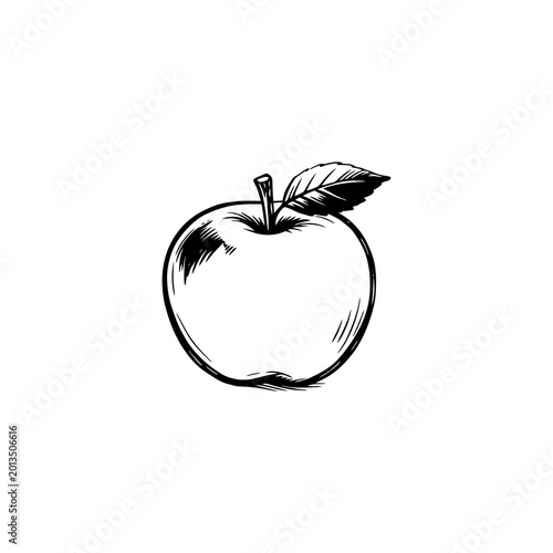 Obraz na plátně Fresh apple with leaf hand drawn ink sketch illustration, isolated
