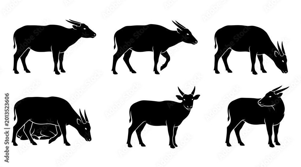 Fototapeta premium anoa silhouettes in side profile, solid black shapes, each in a different pose such as standing, walking.