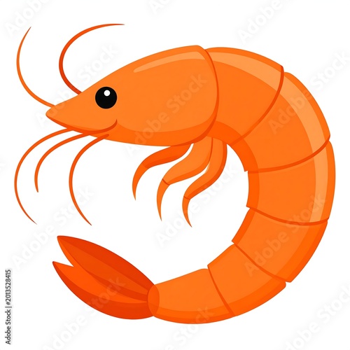 Bright orange crustacean with curved tail