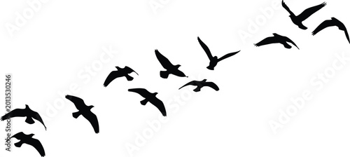 Fotografi Flock of Black Birds Flying on White Background