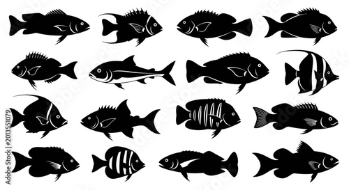 Tableau sur toile Silhouette Collection of Diverse Fish Species Underwater Wildlife