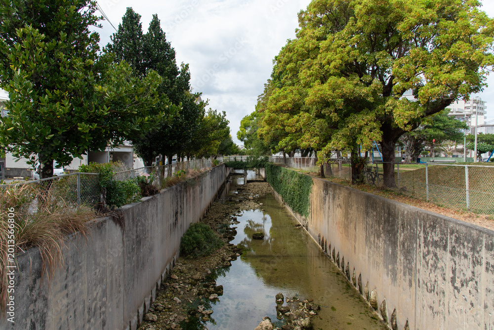 Fototapeta premium 住宅街を通る両側に木を植えられた水位の低い直線の川