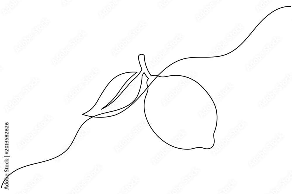 Obraz premium Lemon Fruit Continuous One Line Drawing Minimal Citrus Outline Organic Food Vector Illustration