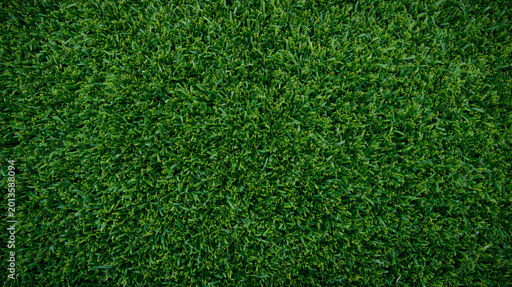 Obraz premium Dense Green Artificial Grass Sod - Seamless Background for High-Traffic Areas