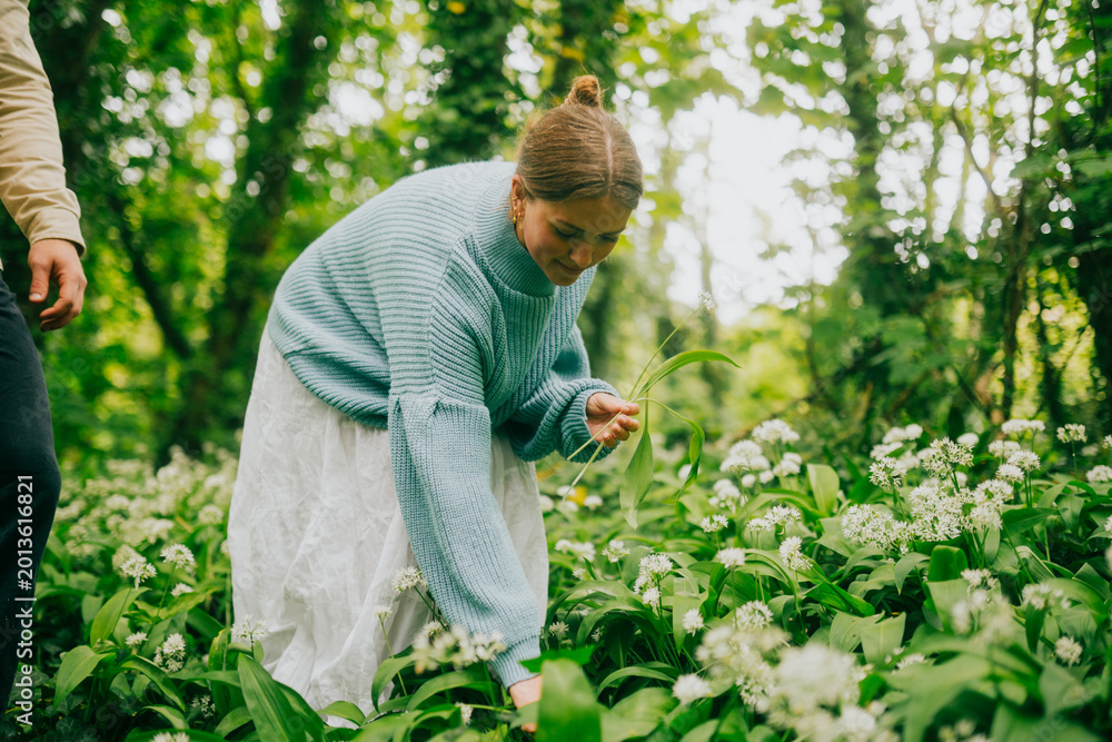 Fototapeta premium Young woman forages for wild garlic in a vibrant green woodland setting