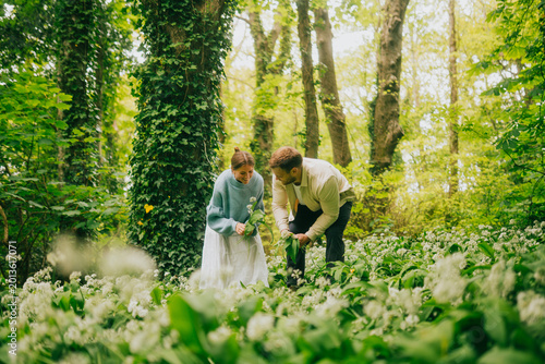 Cuadro en lienzo Happy couple forages for wild garlic in a vibrant green woodland