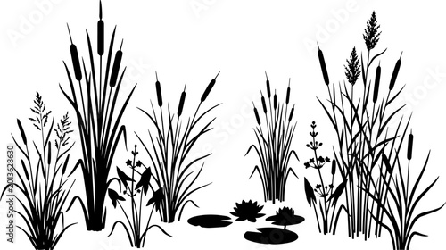 Tableau sur toile Silhouetted wetland plants and lily pads on a white background